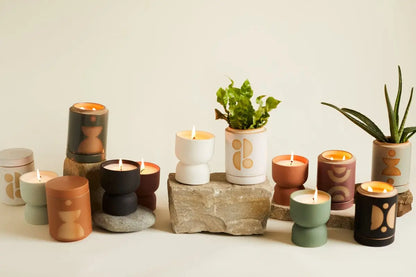 The Ocean Rose + Bay - Form 12 oz Candle sits stylishly among potted plants in colorful, patterned planters on stones, creating a fresh display of home fragrance and greenery against a plain background.