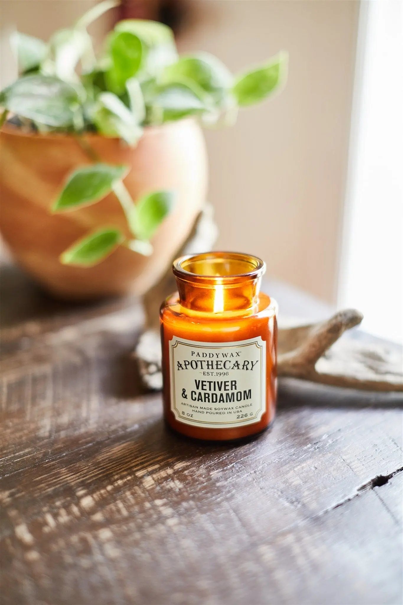 A lit Vetiver + Cardamom - Apothecary 8 oz Candle in amber glass sits on a wooden table beside a green potted plant, infusing the room with its vintage-inspired scent.