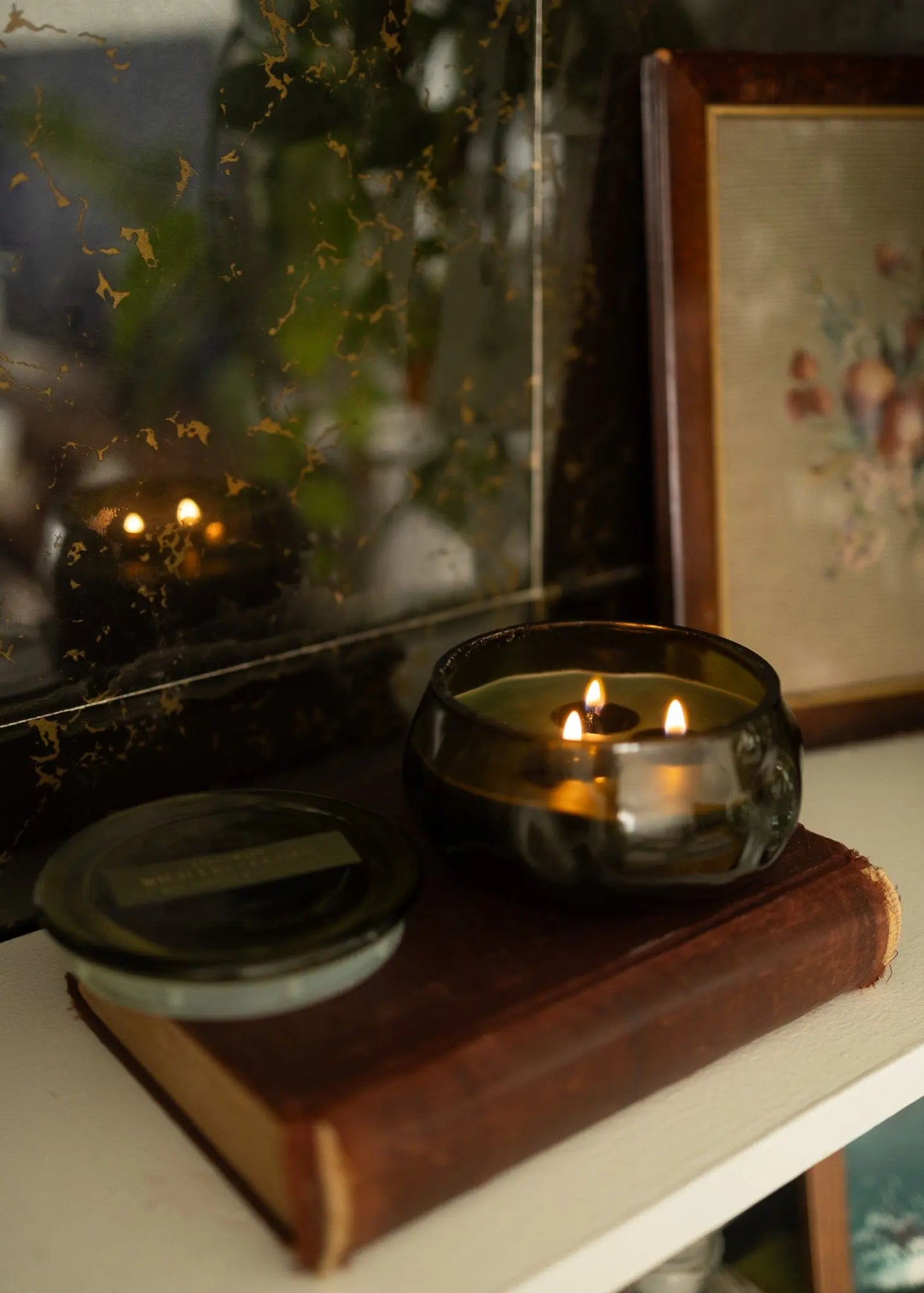 Wild Fig & Cedar - 10 oz Candle Paddywax