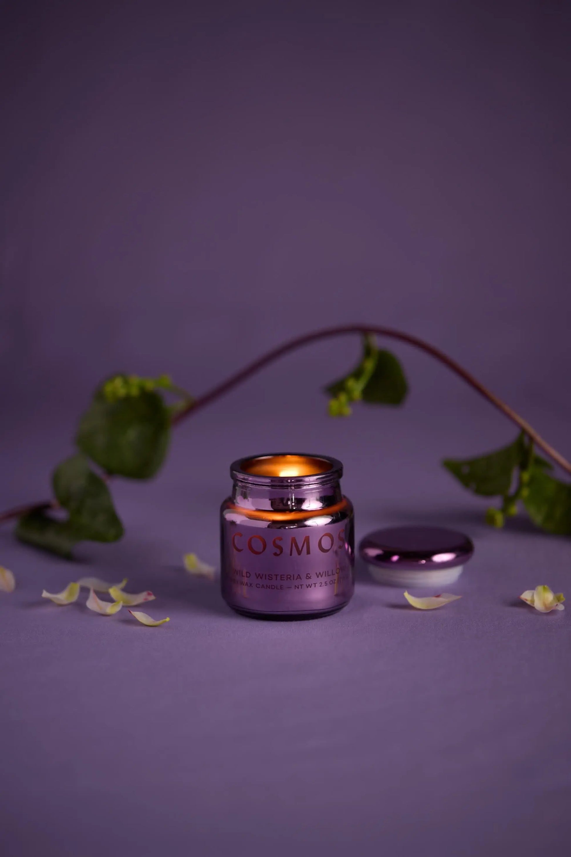 A Wisteria & Willow - Chroma Candle 2.5oz in an electroplated glass jar rests on a purple surface with flower petals and a vine nearby; the lid lies beside it, reflecting Chroma candles' Latin-inspired fragrance.