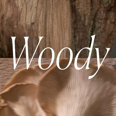 The word Woody overlays a close-up image of light brown mushroom caps with a blurred wooden background.