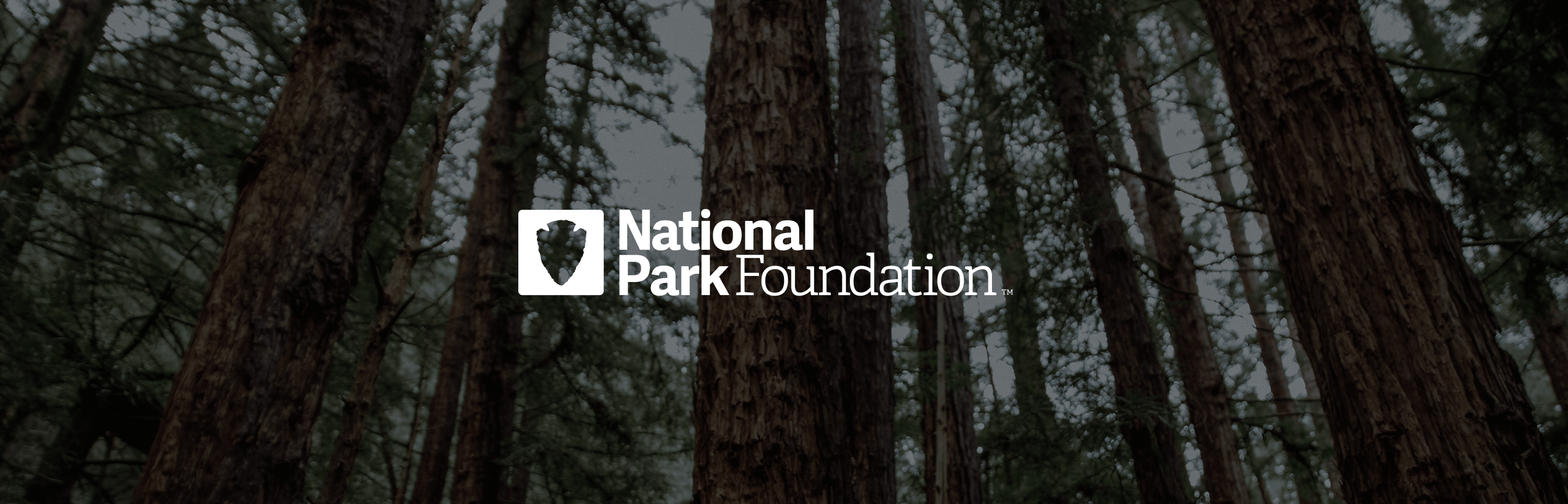 Tall trees in a dense forest with the National Park Foundation logo and text centered in white.