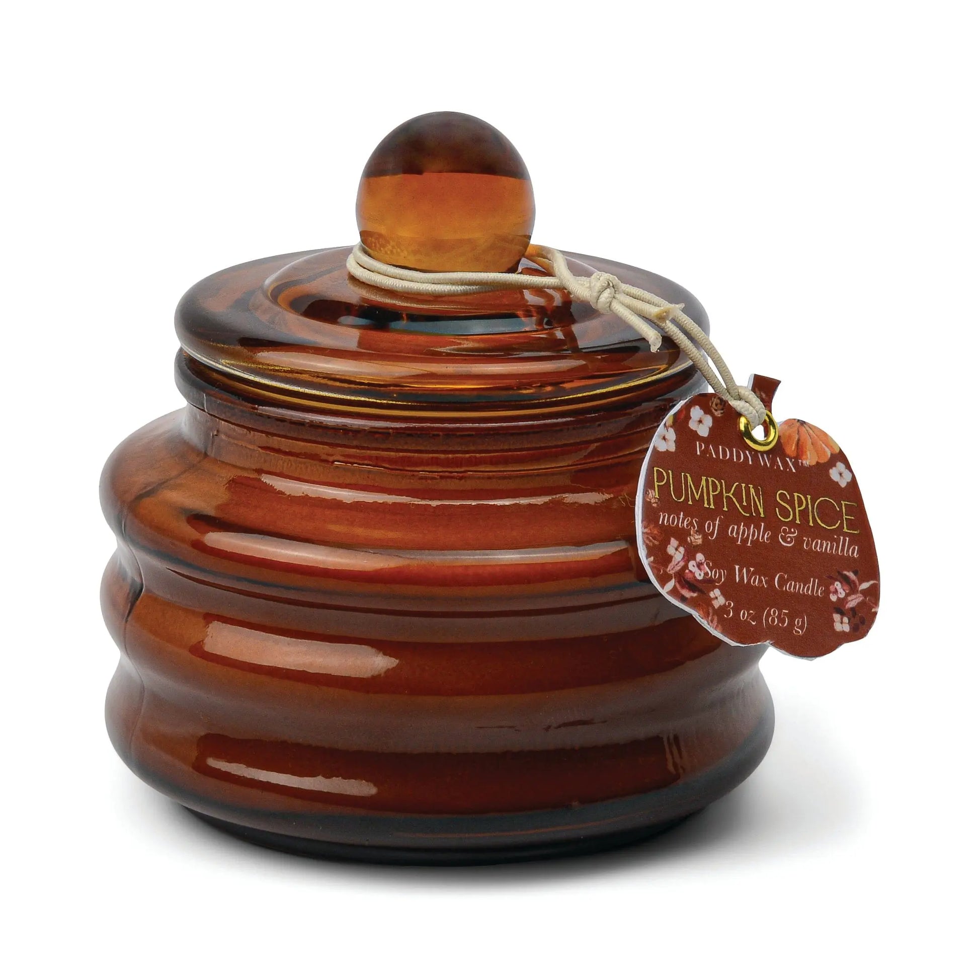 Pumpkin & Spice (inactive) - 3 oz Candle Paddywax