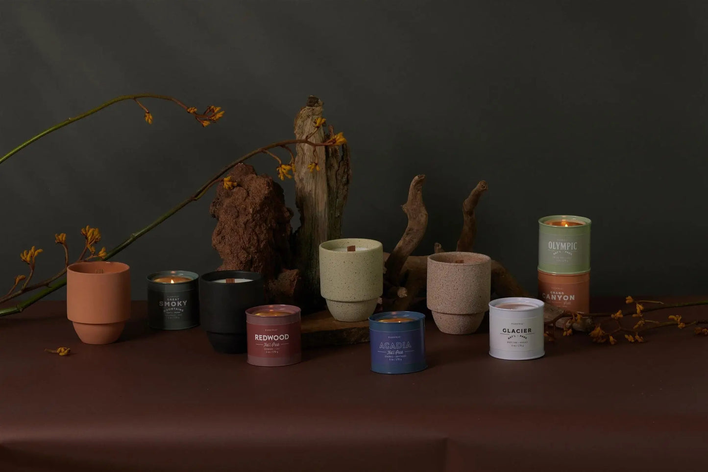 A row of lit and unlit Parks Collection candles, including the Redwood - Parks 6 oz Tin Candle, sits in colorful containers on a brown surface with driftwood and yellow branches in the background.