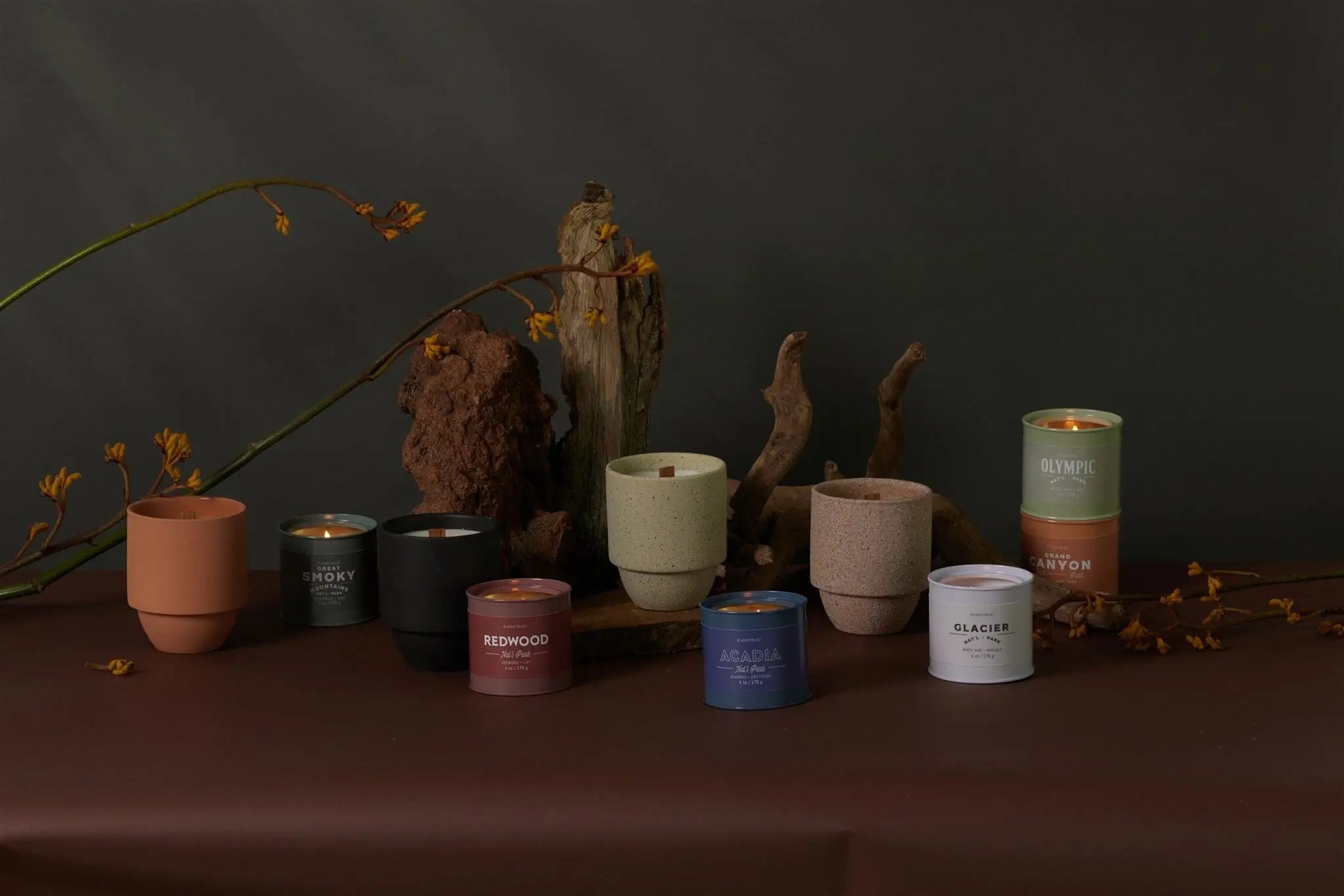 A row of lit and unlit Parks Collection candles, including the Redwood - Parks 6 oz Tin Candle, sits in colorful containers on a brown surface with driftwood and yellow branches in the background.
