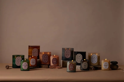 Cactus Flower + Aloe - 12 oz Candle Paddywax