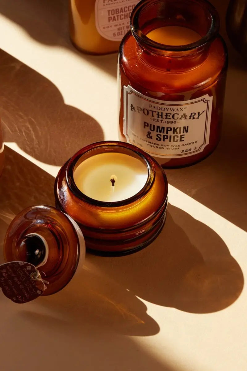Pumpkin & Spice (inactive) - 3 oz Candle Paddywax