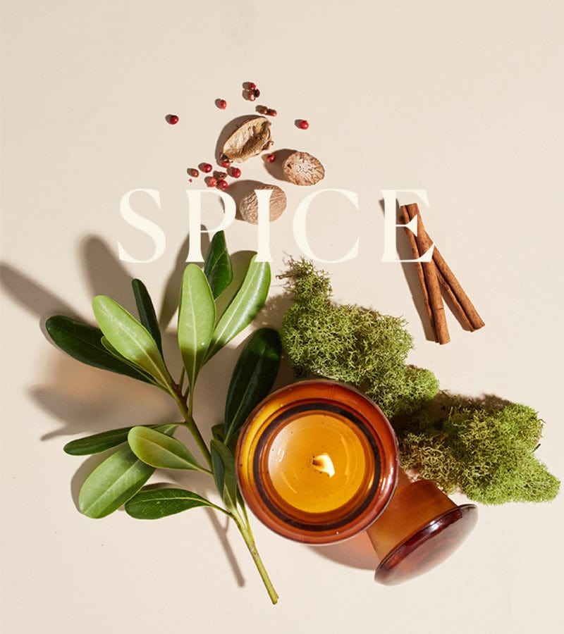 An amber candle jar, green leaves, moss, cinnamon sticks, nutmeg, and scattered peppercorns are arranged on a beige surface with the word “SPICE” overlaid in white text.