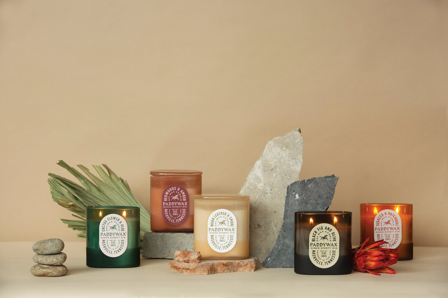 Cactus Flower + Aloe - 12 oz Candle Paddywax