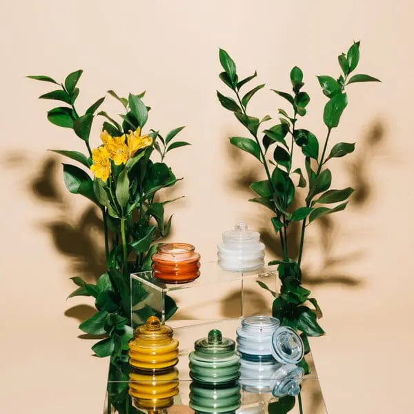 The Meyer Lemon - Beam 3 oz Candle, in a colored glass jar with lid, sits on clear platforms and a mirror, surrounded by green leafy plants and yellow flowers, perfect as an elegant candle holder against a beige background.