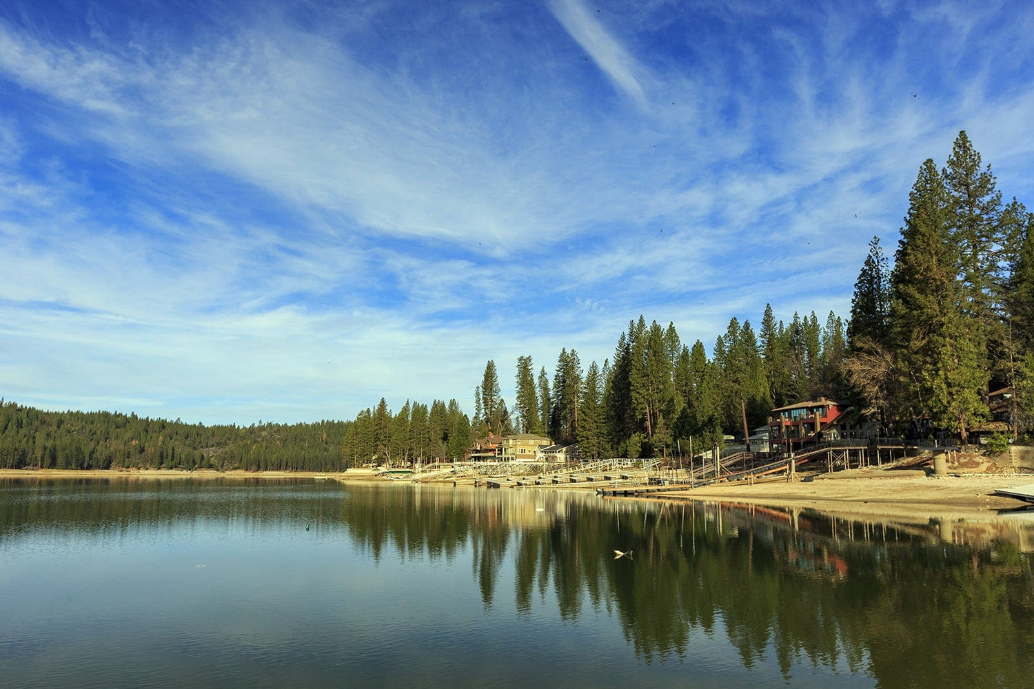 A calm lake reflects pine trees and several houses along its shoreline under a partly cloudy blue sky, creating a peaceful and scenic landscape.